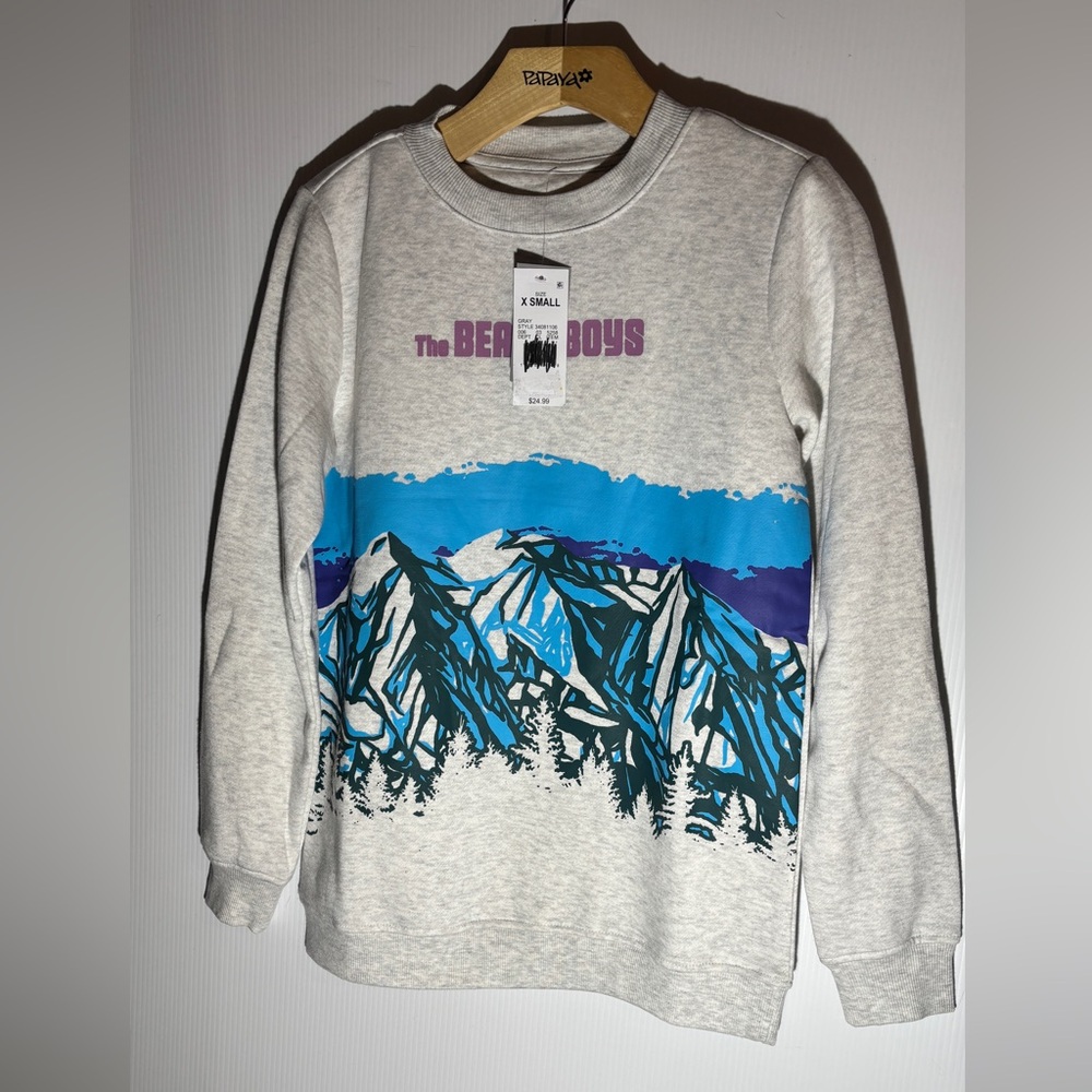 NWT Beach boys Gray Sweatshirt size extra small - Picture 1 of 4